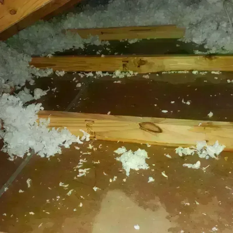 Attic Water Damage in Newbern, TN