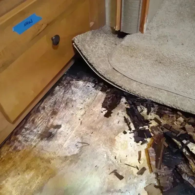 Best Wood Floor Water Damage Service in Newbern, TN